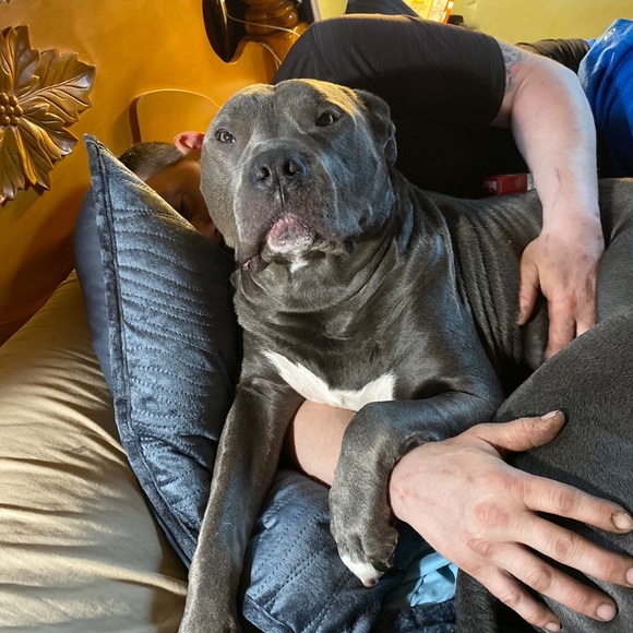 Meet your Posher, Alana - Picture 14 of 16